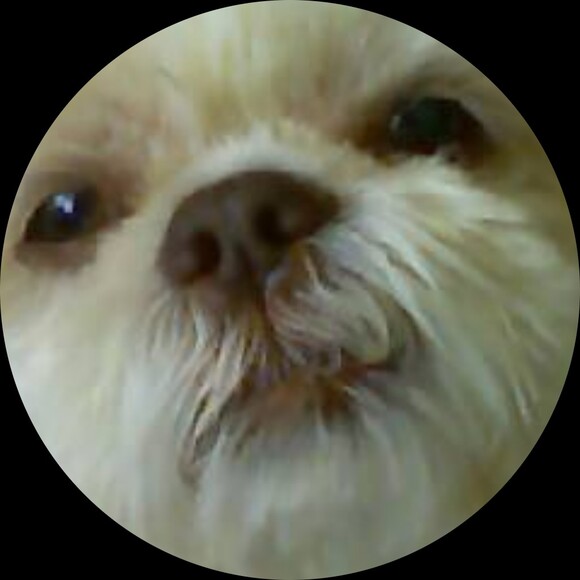 penpencil22